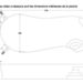 180808-030819-coque-moorea-forme-libre-2.jpg